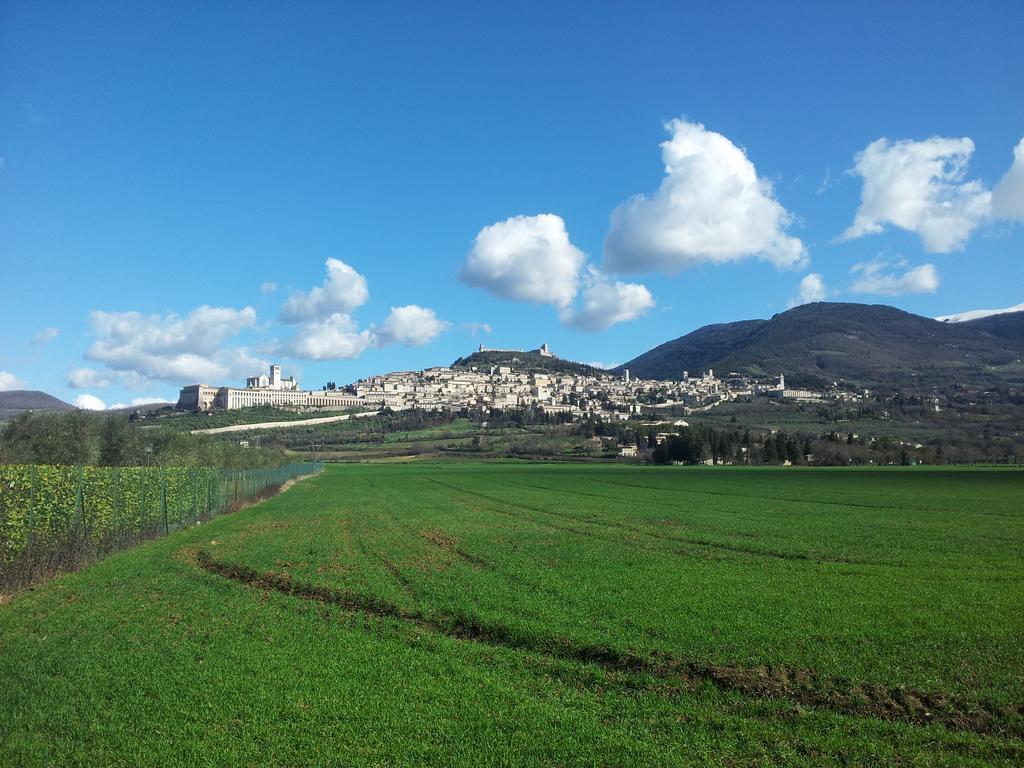 Assisana Affittacamere Santa Maria Degli Angeli  Exterior foto